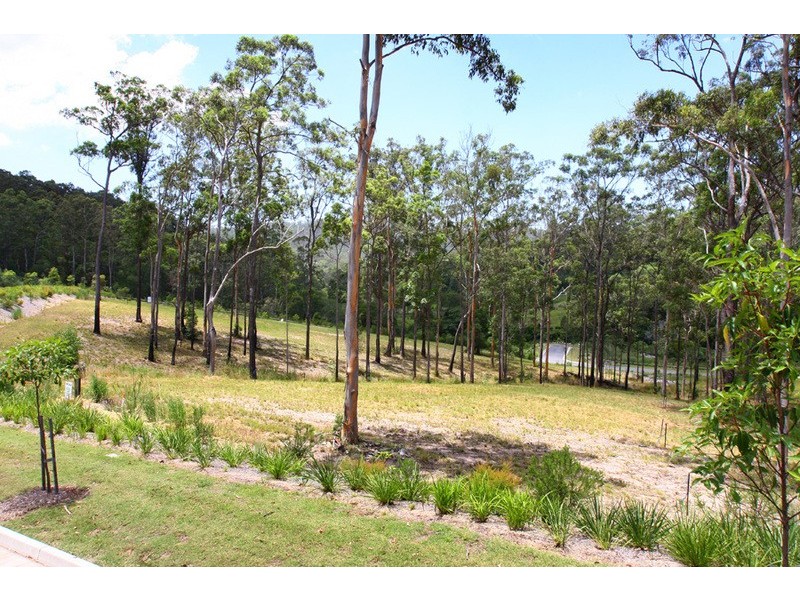 lot 94 Nathanvale Drive, Mount Nathan QLD 4211