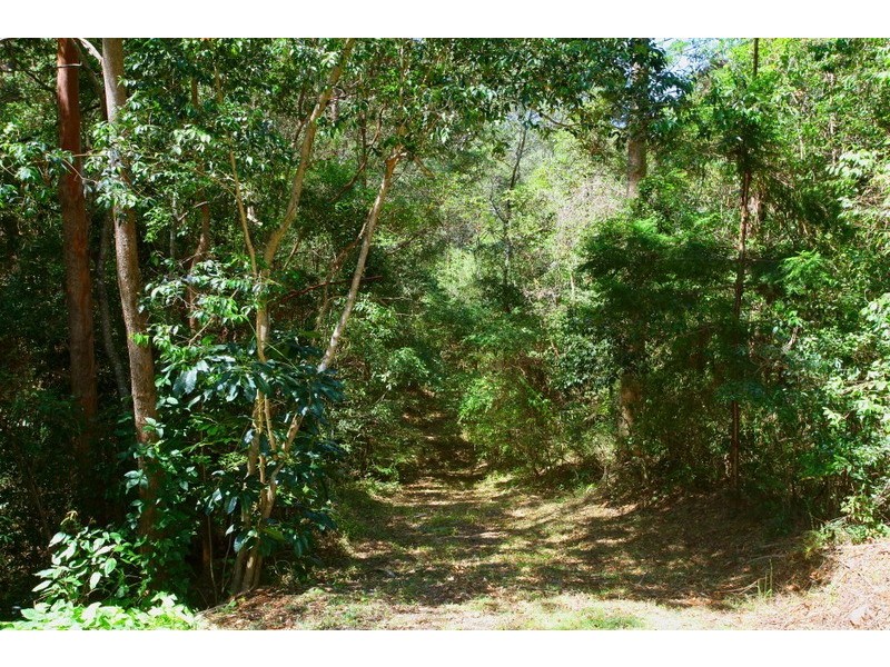 119 Henri Robert Drive, Clagiraba QLD 4211