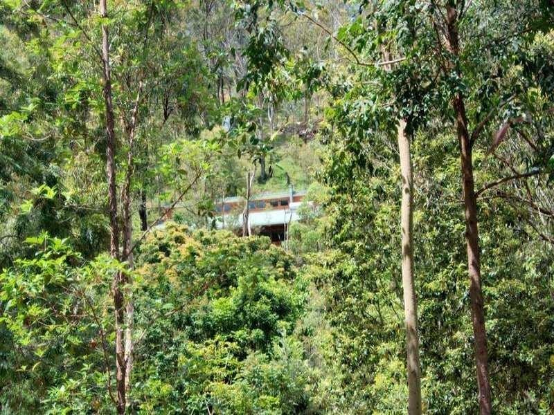 17-21 Maurita Court, Canungra QLD 4275