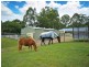 64 Worongary Road, Worongary QLD 4213