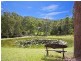 17 Parkway Drive, Advancetown QLD 4211
