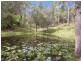 17 Parkway Drive, Advancetown QLD 4211