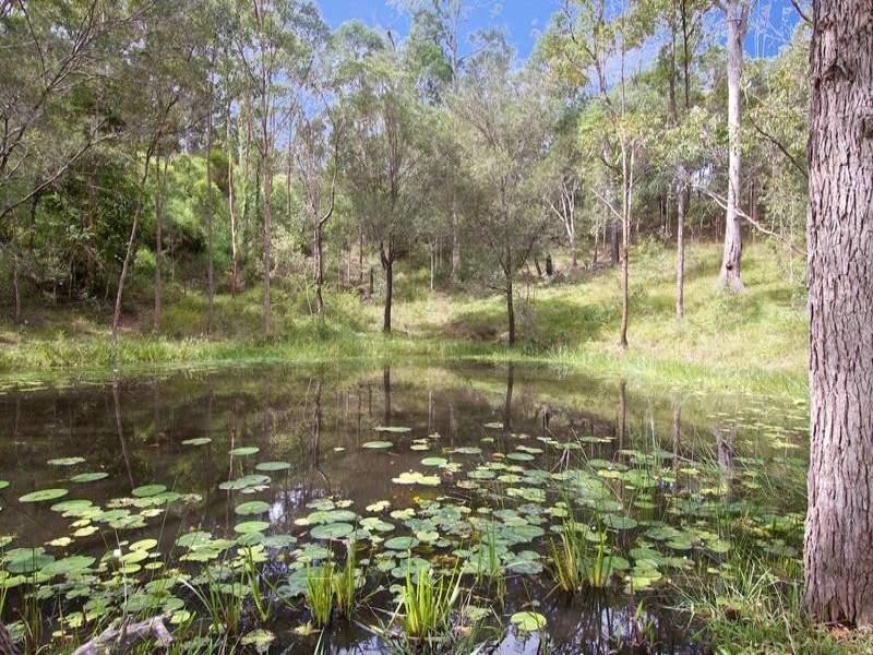 17 Parkway Drive, Advancetown QLD 4211