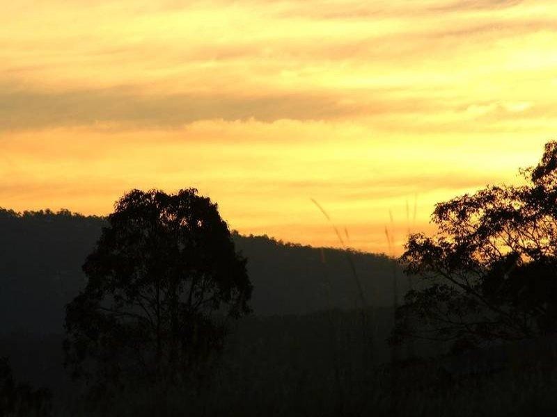 18 Therese Mary Avenue, Carrara QLD 4211