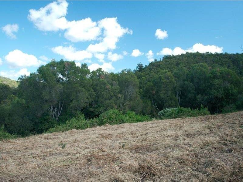 102 Arunta Drive, Mount Nathan QLD 4211