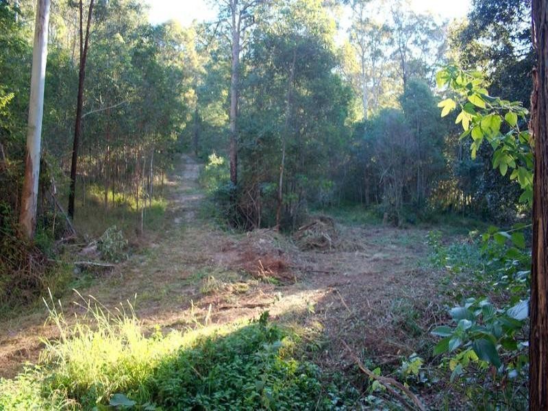 102 Arunta Drive, Mount Nathan QLD 4211