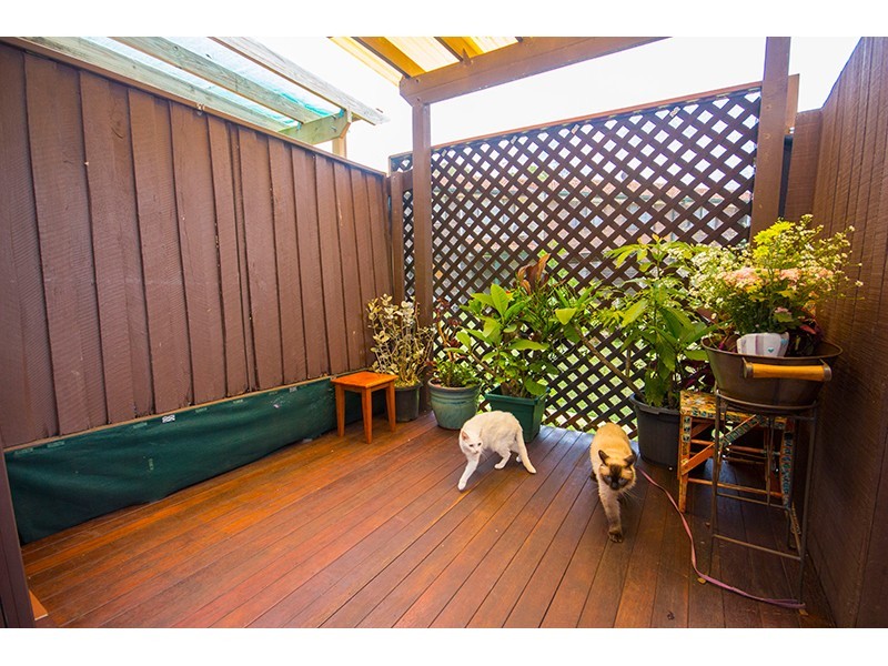 1 Hibiscus/67 Nerang Street, Nerang QLD 4211