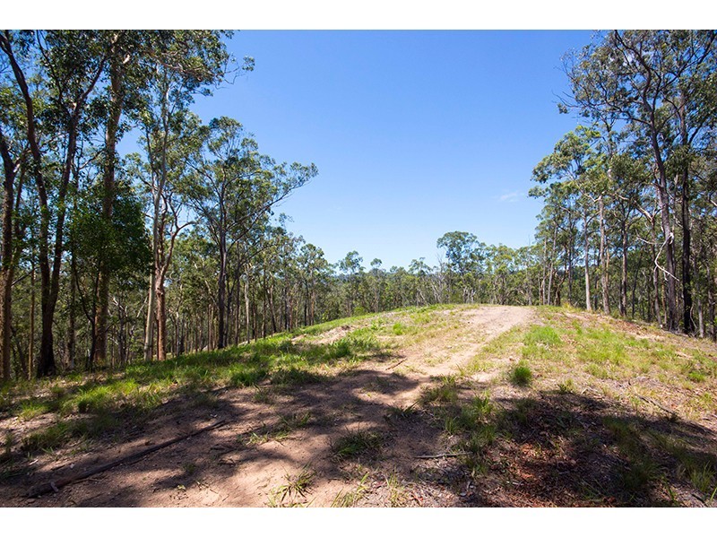 Lot 142 Nathanvale Road, Mount Nathan QLD 4211