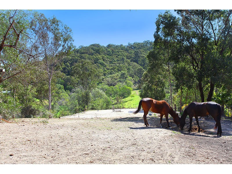 1072 Beaudesert Nerang Road, Clagiraba QLD 4211