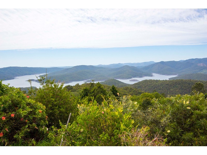 723 Beechmont Road, Lower Beechmont QLD 4211