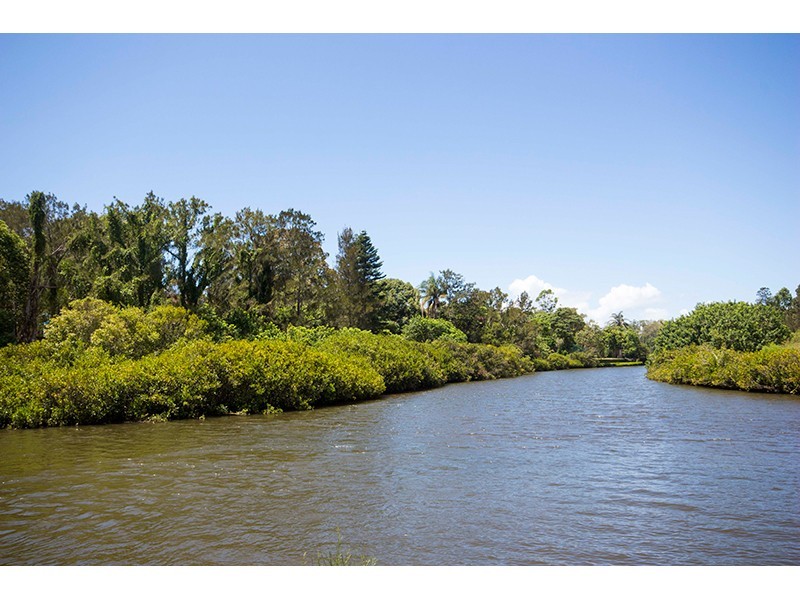 20 Birribi Avenue, Nerang QLD 4211