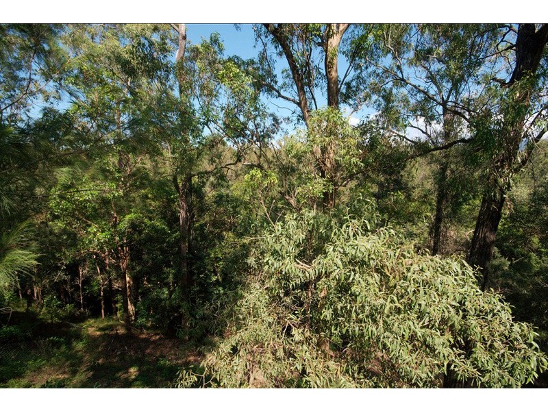 20 Winchester Drive, Nerang QLD 4211