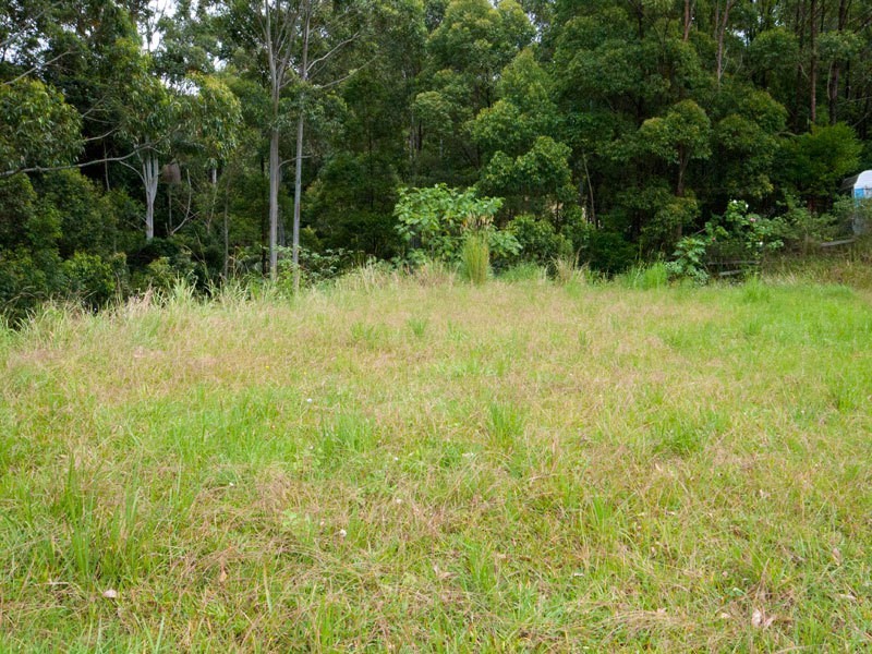 19 Hellfire Pass, Lower Beechmont QLD 4211