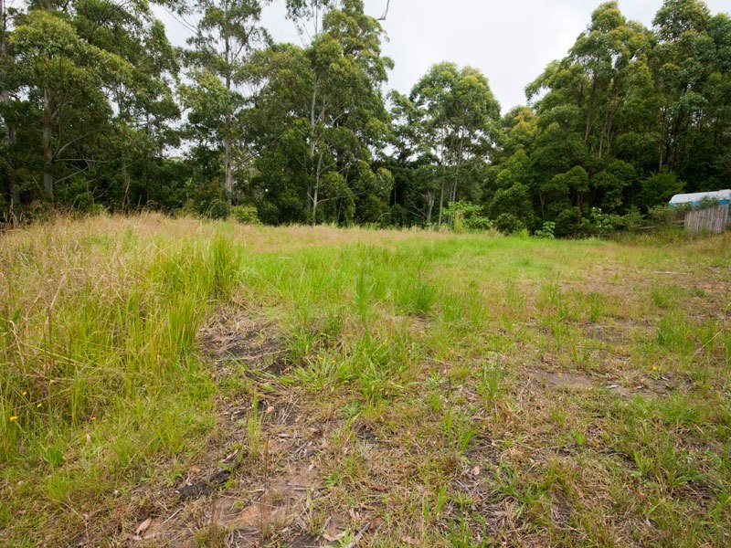 19 Hellfire Pass, Lower Beechmont QLD 4211