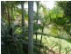 45 Yarrayne Road, Nerang QLD 4211