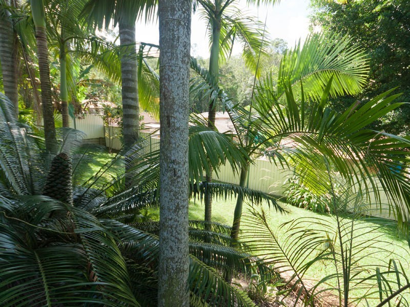 45 Yarrayne Road, Nerang QLD 4211
