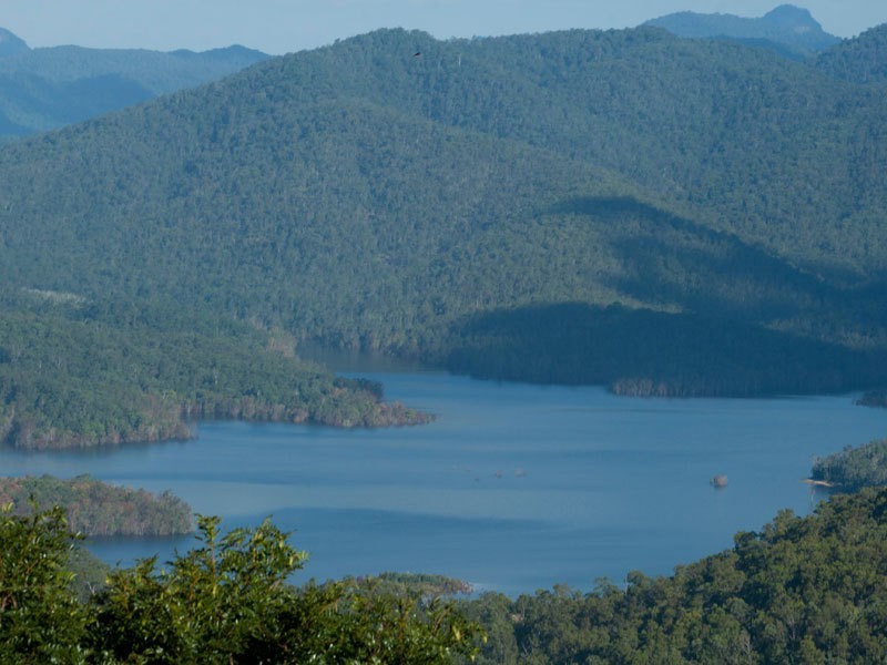 659 Beechmont Road, Lower Beechmont QLD 4211