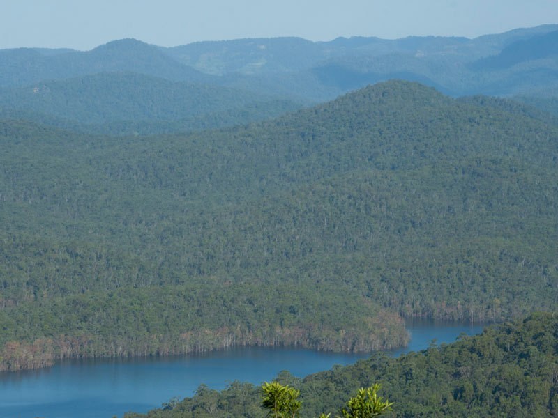 659 Beechmont Road, Lower Beechmont QLD 4211