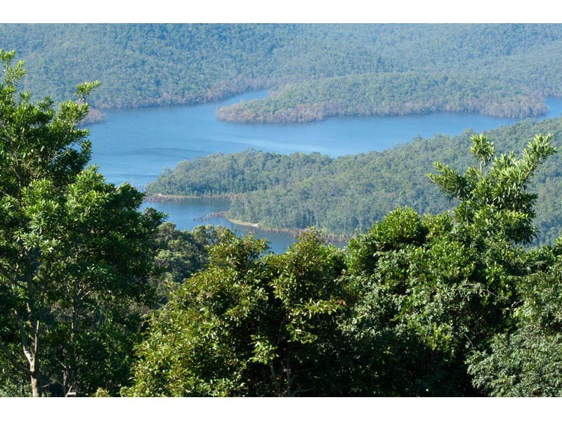 659 Beechmont Road, Lower Beechmont QLD 4211