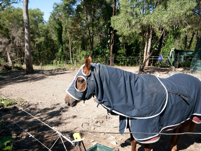 8 Arjuna Way, Gaven QLD 4211