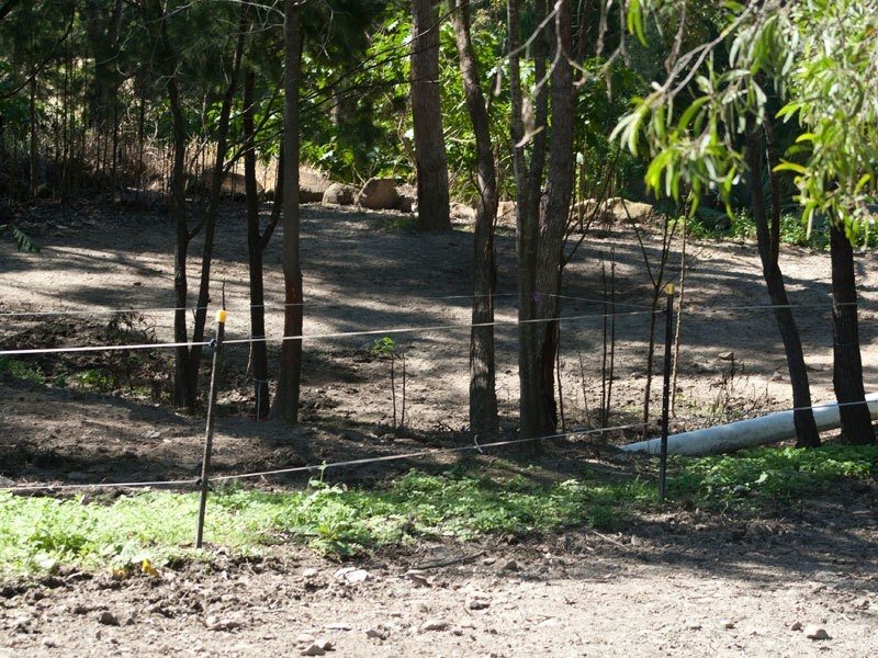 8 Arjuna Way, Gaven QLD 4211