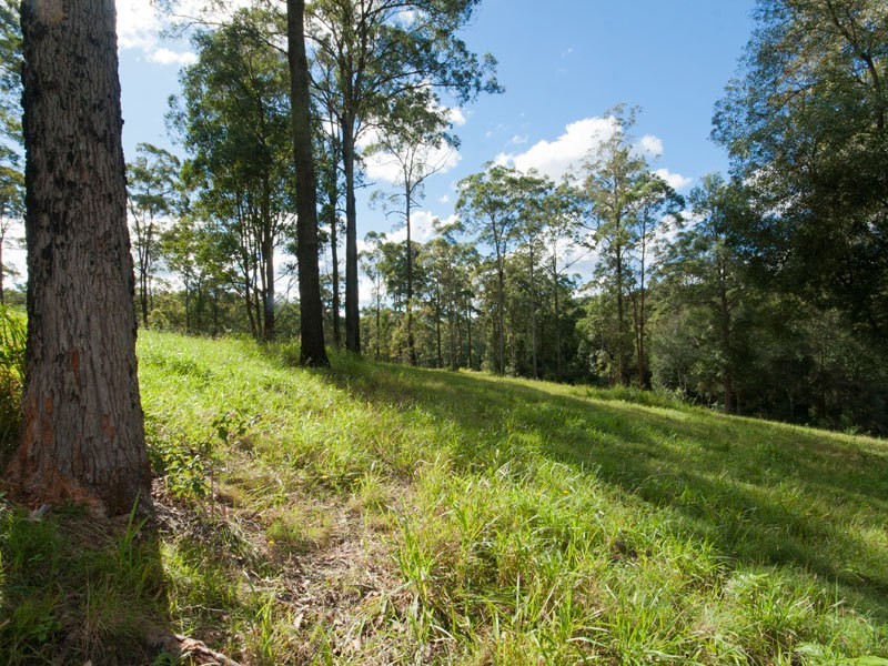 1 Tucker Lane, Witheren QLD 4275