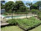 45 Koola Drive, Nerang QLD 4211