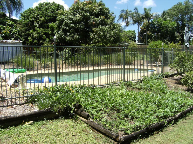 45 Koola Drive, Nerang QLD 4211
