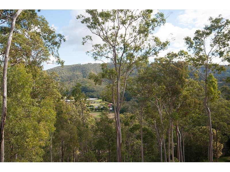 911 Beaudesert Nerang Road, Mount Nathan QLD 4211