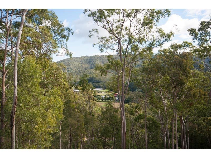 911 Beaudesert Nerang Road, Mount Nathan QLD 4211