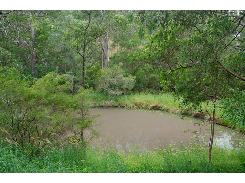 Advancetown QLD 4211