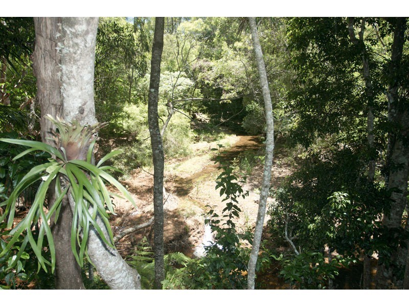 Springbrook QLD 4213