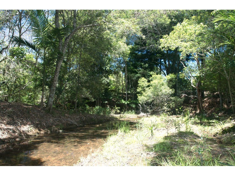 Springbrook QLD 4213