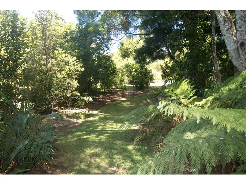 Springbrook QLD 4213