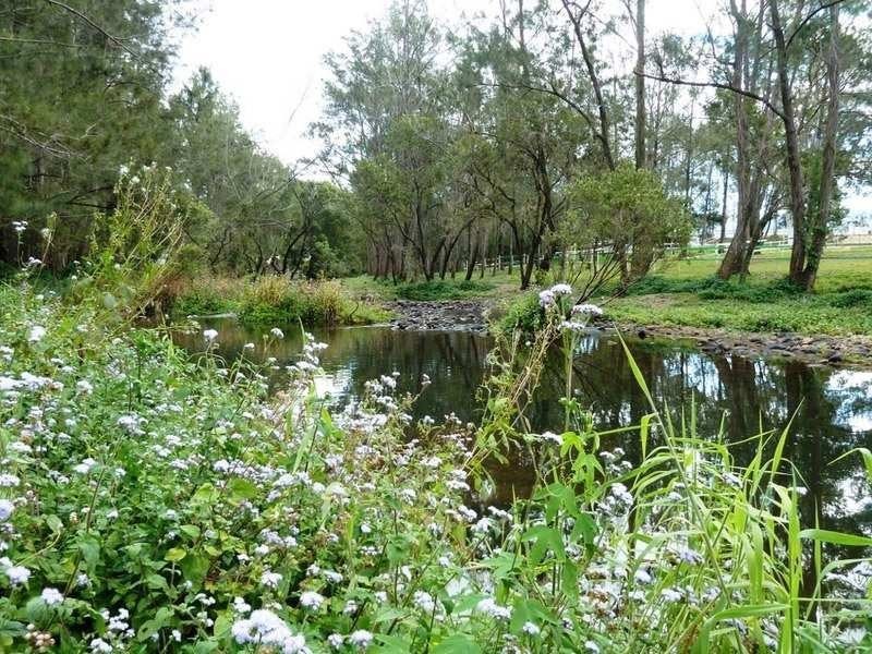 644 Gilston Road, Gilston QLD 4211