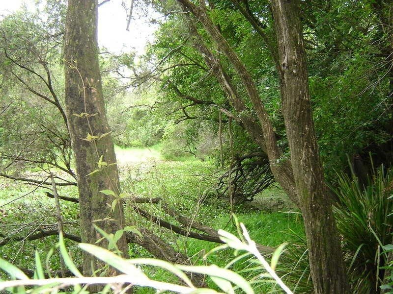 Lot 6  Gilston Road, Gilston QLD 4211