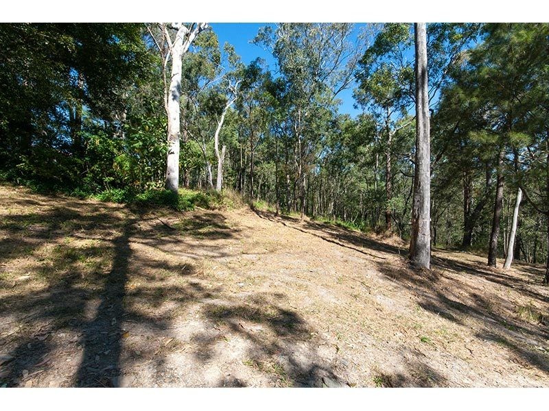 8 Crocus Way, Gaven QLD 4211