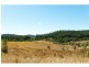Hidden Woods/181 Nerang Murwillumbah Road, Advancetown QLD 4211