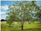 Hidden Woods/181 Nerang Murwillumbah Road, Advancetown QLD 4211