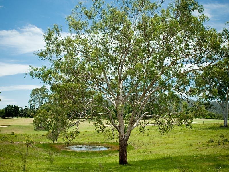 Hidden Woods/181 Nerang Murwillumbah Road, Advancetown QLD 4211