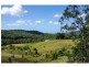 Hidden Woods/181 Nerang Murwillumbah Road, Advancetown QLD 4211