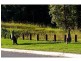 Hidden Woods/181 Nerang Murwillumbah Road, Advancetown QLD 4211