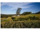 Hidden Woods/181 Nerang Murwillumbah Road, Advancetown QLD 4211