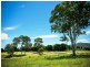 Hidden Woods/181 Nerang Murwillumbah Road, Advancetown QLD 4211