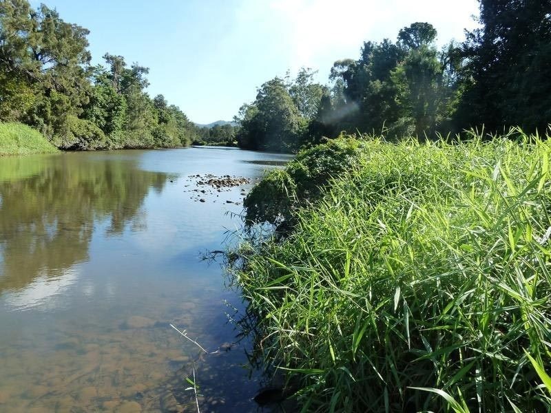 33 Bartlett Avenue, Nerang QLD 4211