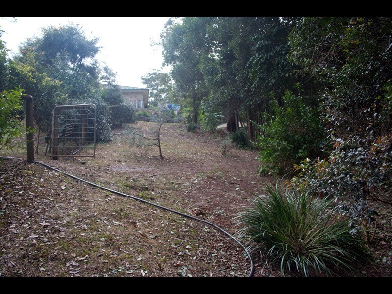 22 Trentbridge Court, Mount Nathan QLD 4211