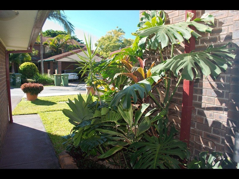 2/67 Nerang Street “Dahlia”, Nerang QLD 4211