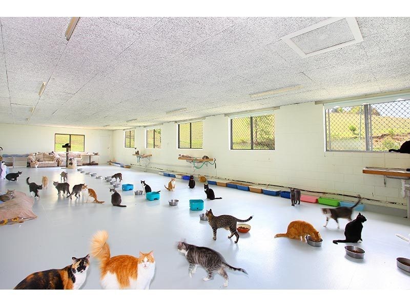 21 Canungra Court, Clagiraba QLD 4211