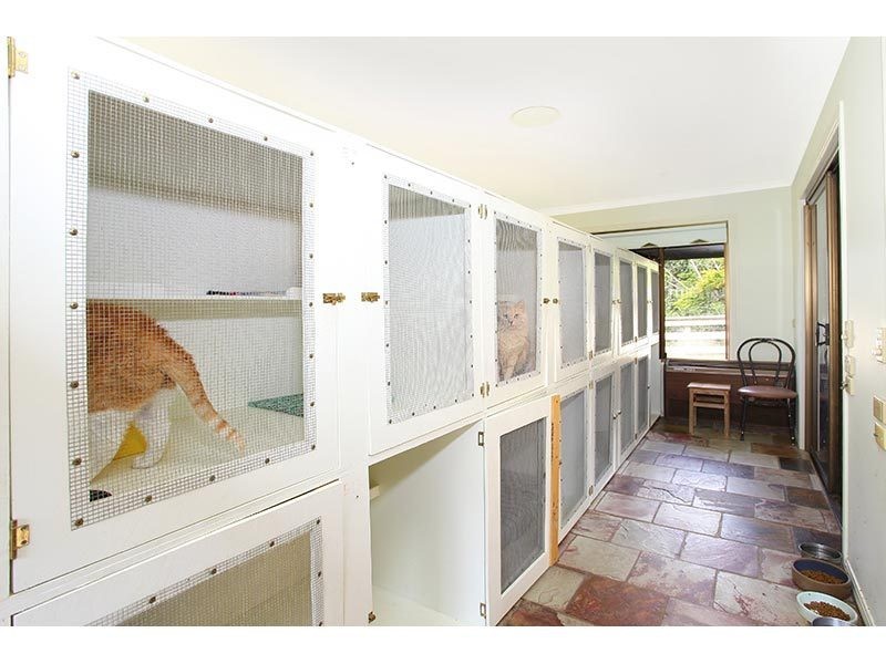 21 Canungra Court, Clagiraba QLD 4211