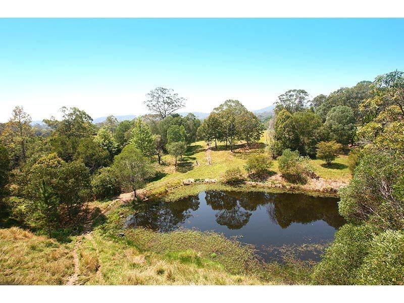 226 Guanaba Creek Road, Guanaba QLD 4210